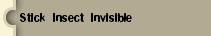 Stick Insect Invisible